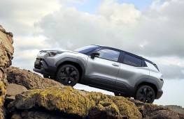 Suzuki e Vitara side